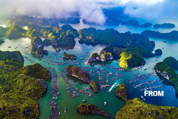 Lan Ha-Cat Ba 3D2N: Ultimate Exclusive Luxury Private Tour