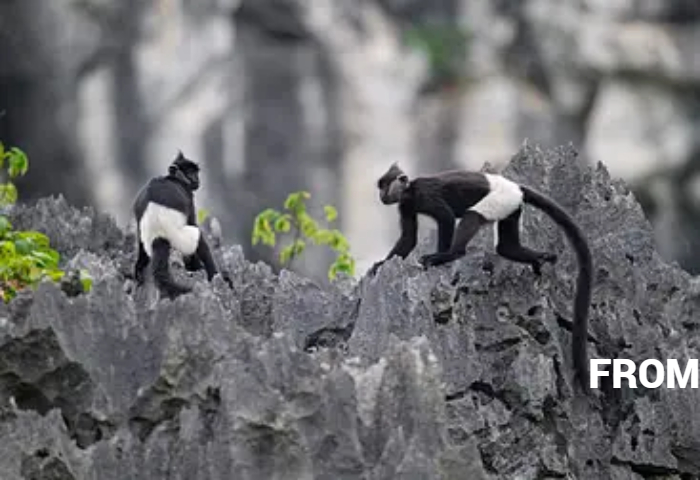 Ninh Binh 2D1N: Wonders, Heritage & Eco Private Tour