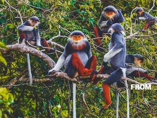 Cuc Phuong National Park: A Private Eco-Tour & Trek