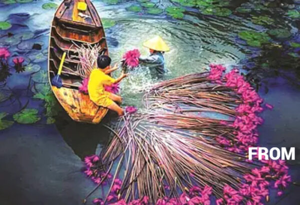 HCMC Package 8D7N: Dazzling City, Mekong Delta, Muine, Dalat
