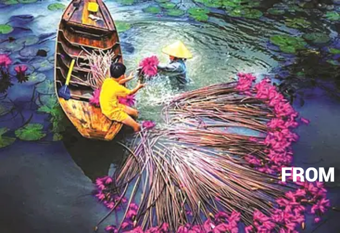 HCMC Package 8D7N: Dazzling City, Mekong Delta, Muine, Dalat