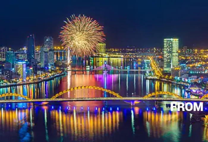 Da Nang, Son Tra & Dragon Bridge Full Day Luxury Private Tour