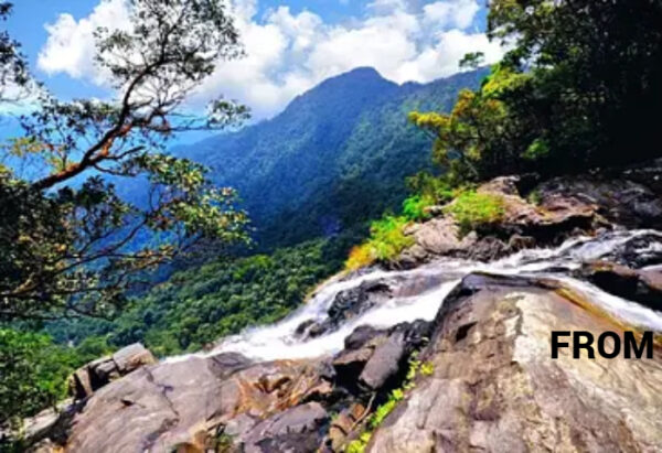 Bach Ma National Park: Vietnam’s Misty Mountain Retreat