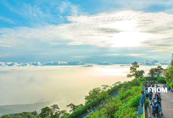 Ba Vi National Park-Summit & History Tranquil Discovery Tour