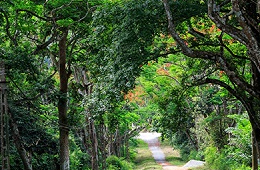 Cuc Phuong National Park: A Private Eco-Tour & Trek