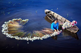 HCMC Package 4D3N- Marvellous Cuchi Tunnels & Mekong Delta