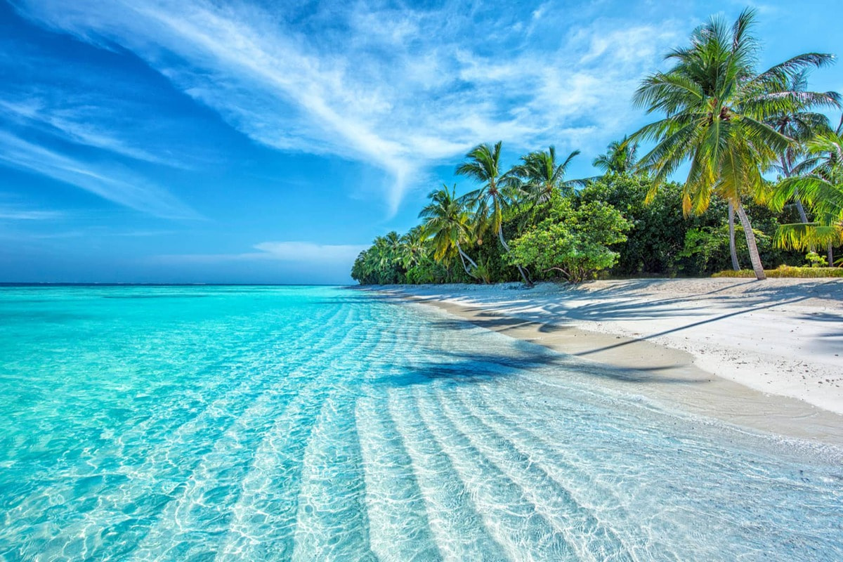 Nha Trang Elite Escape: Mini Beach & Hon Tam Luxury Mud Bath
