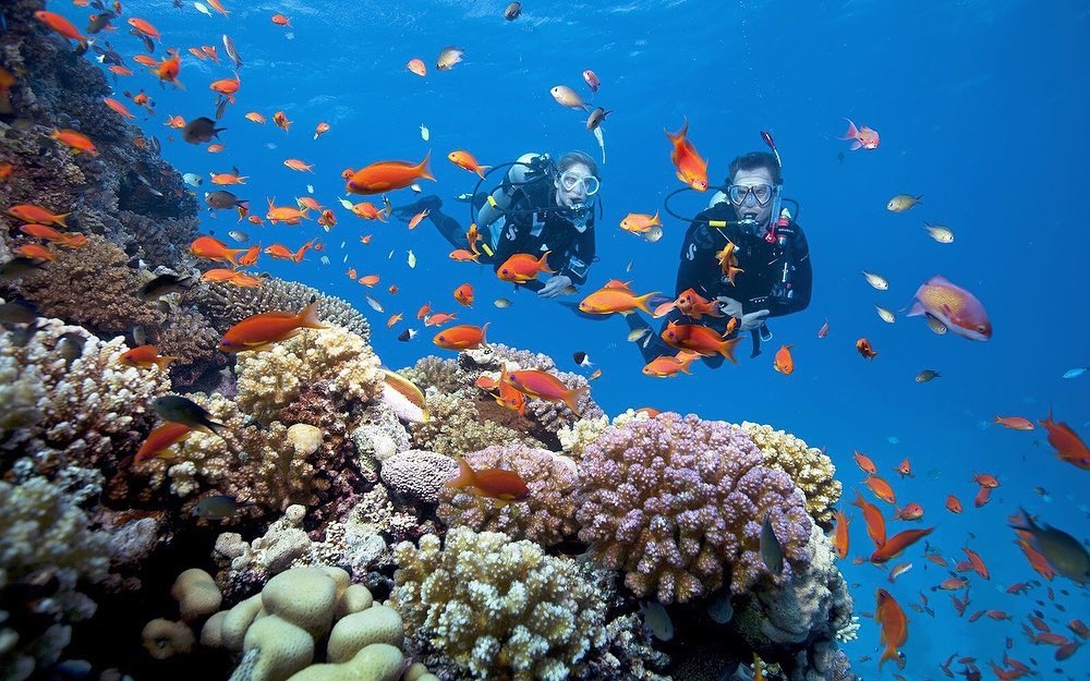 Cham Island Snorkeling Tour: A Paradise Day Trip