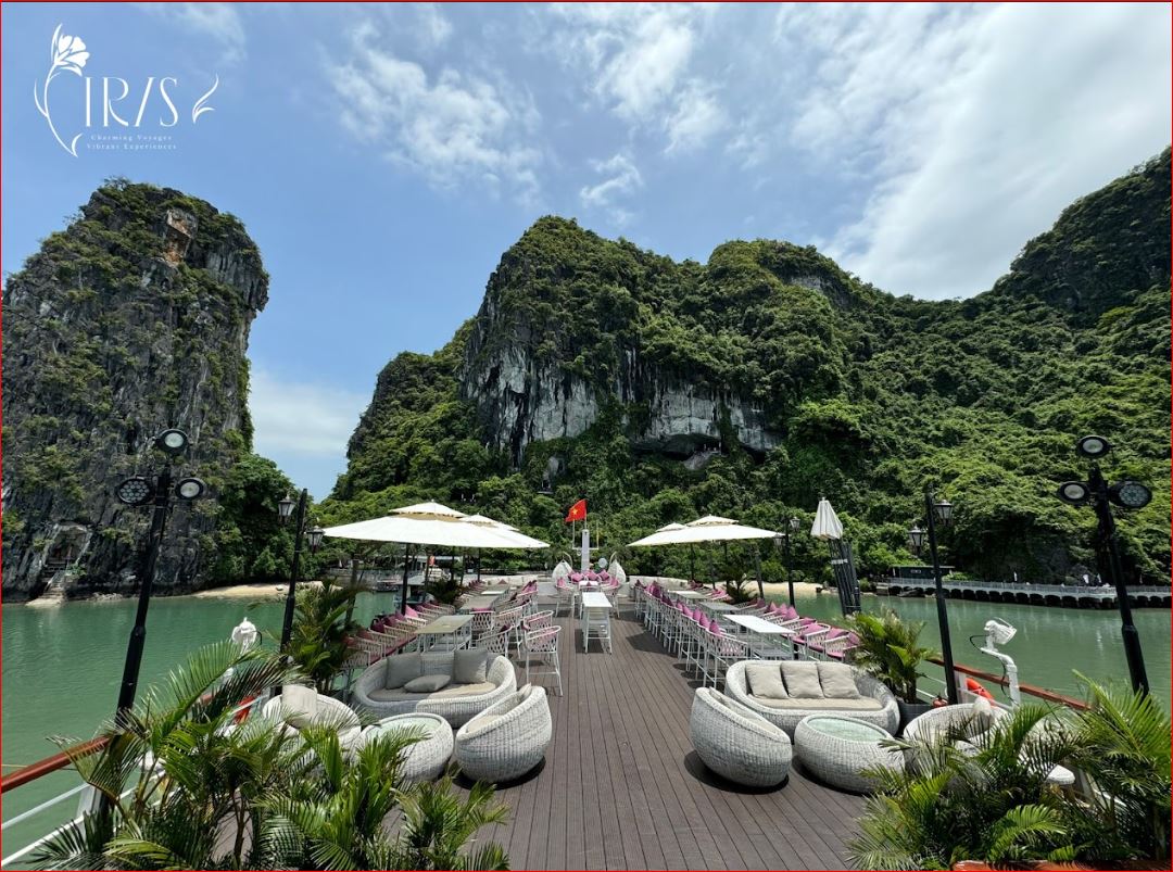 Iris Halong Bay Luxury 8-Hour Cruise: Canapé & Live Music